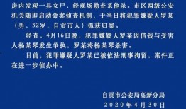 四川借钱爆料事件最新情况,最新进展揭秘，真相大白！